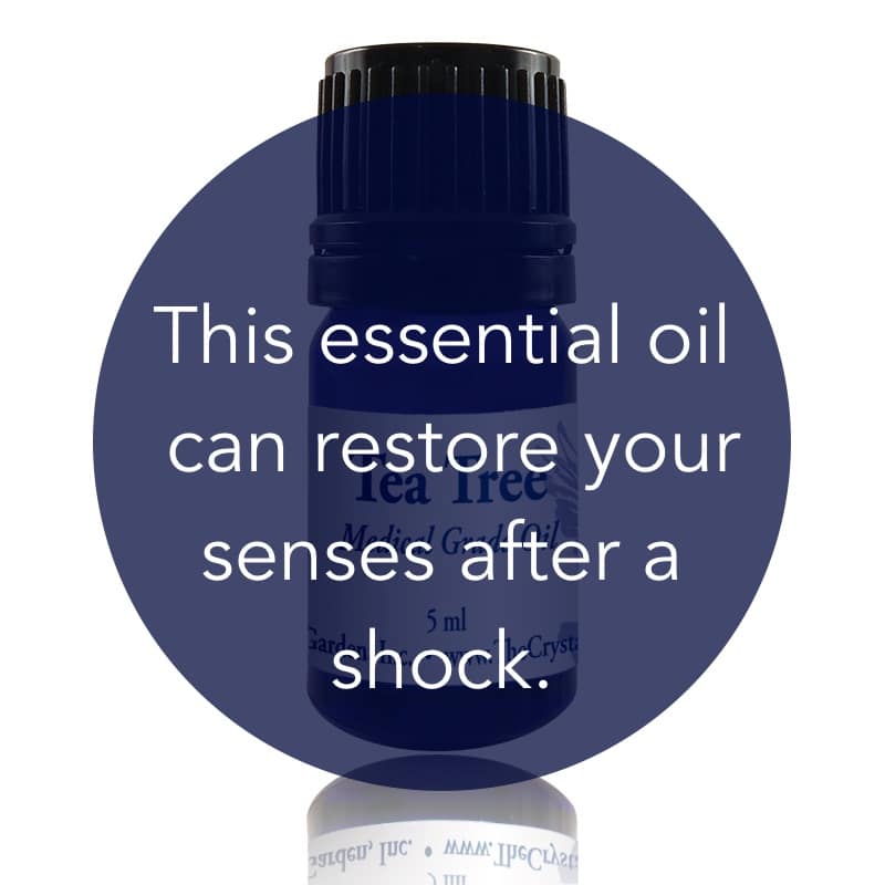 Tea Tree Essential Oil image 1