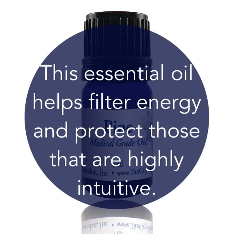 Pine Essential Oil image 1