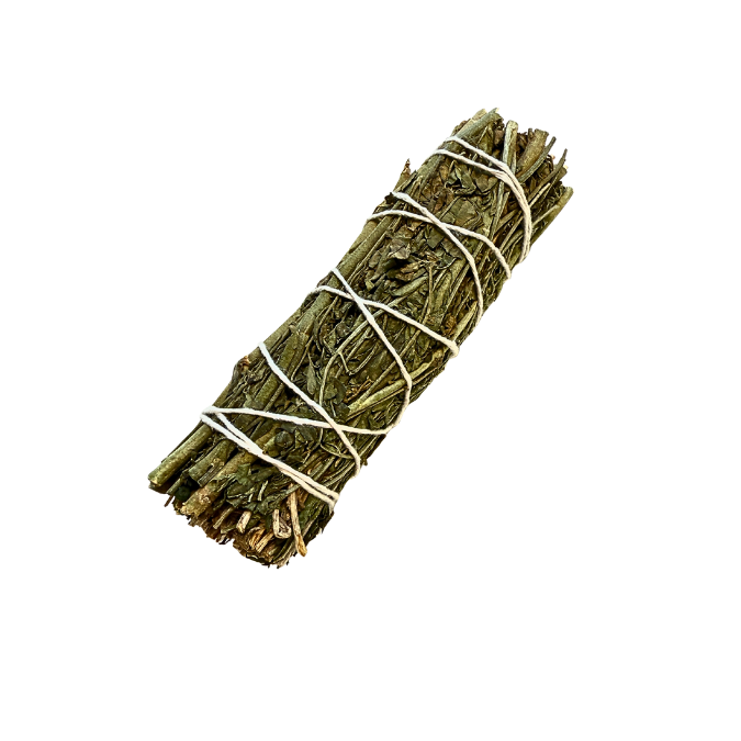 Rue Smudge Stick image 0