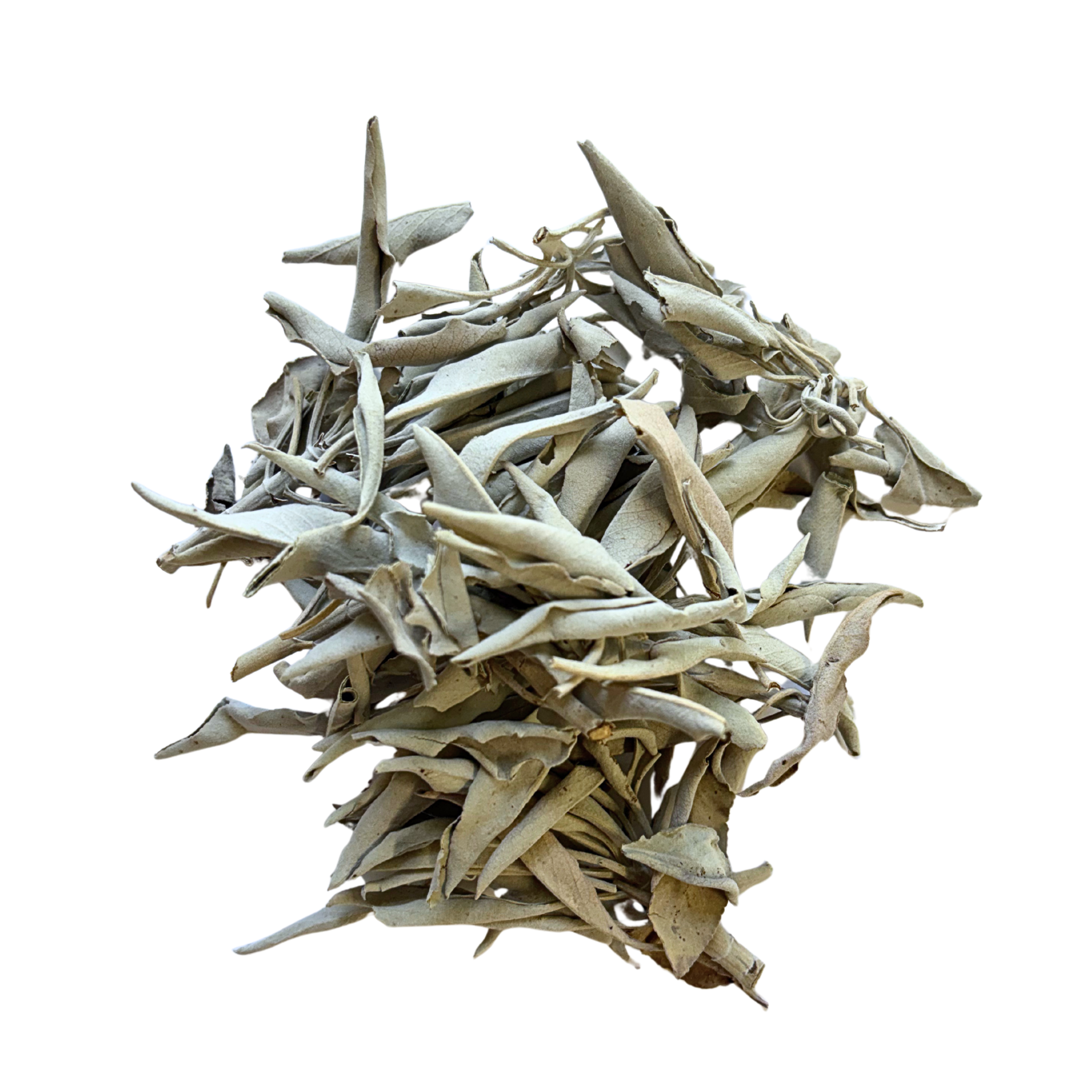 White Sage Loose - 8 oz Bag image 0