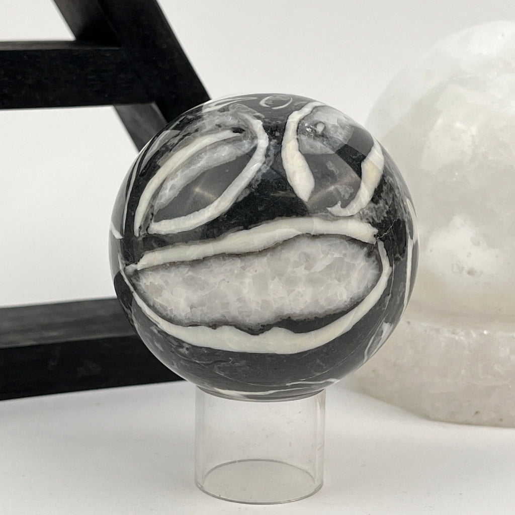 Shell Fossil Sphere - Thousand Eye Jasper