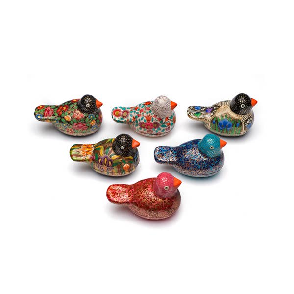 Paradise Parakeet Box