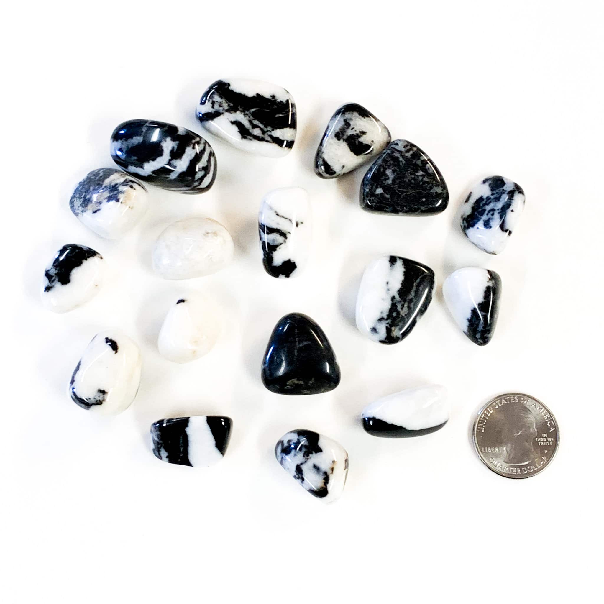 Tiger Calcite Black and White image 1