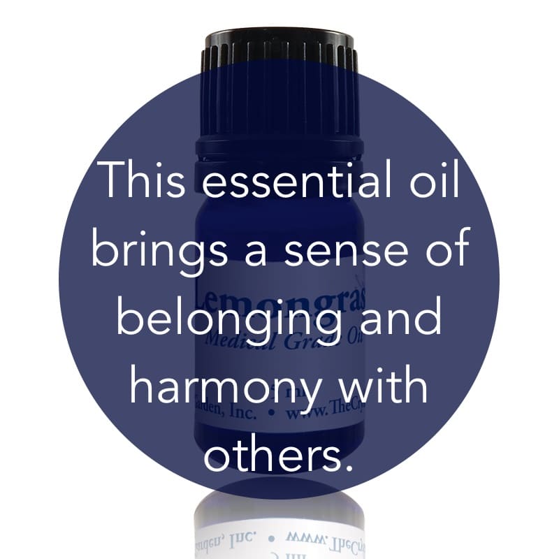 Lemongrass Essential Oil image 1