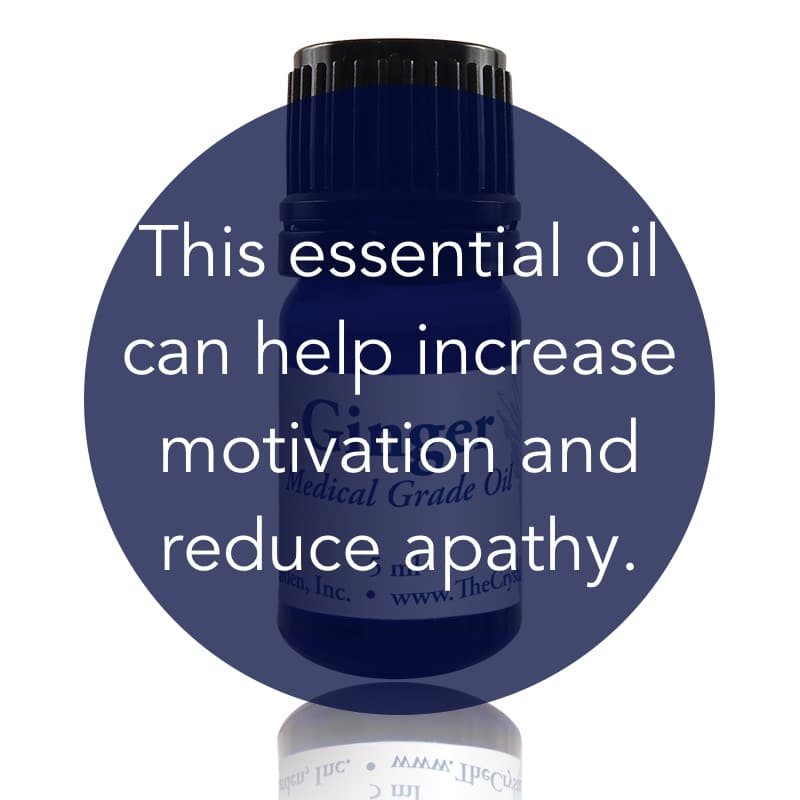 Ginger Essential Oil image 1