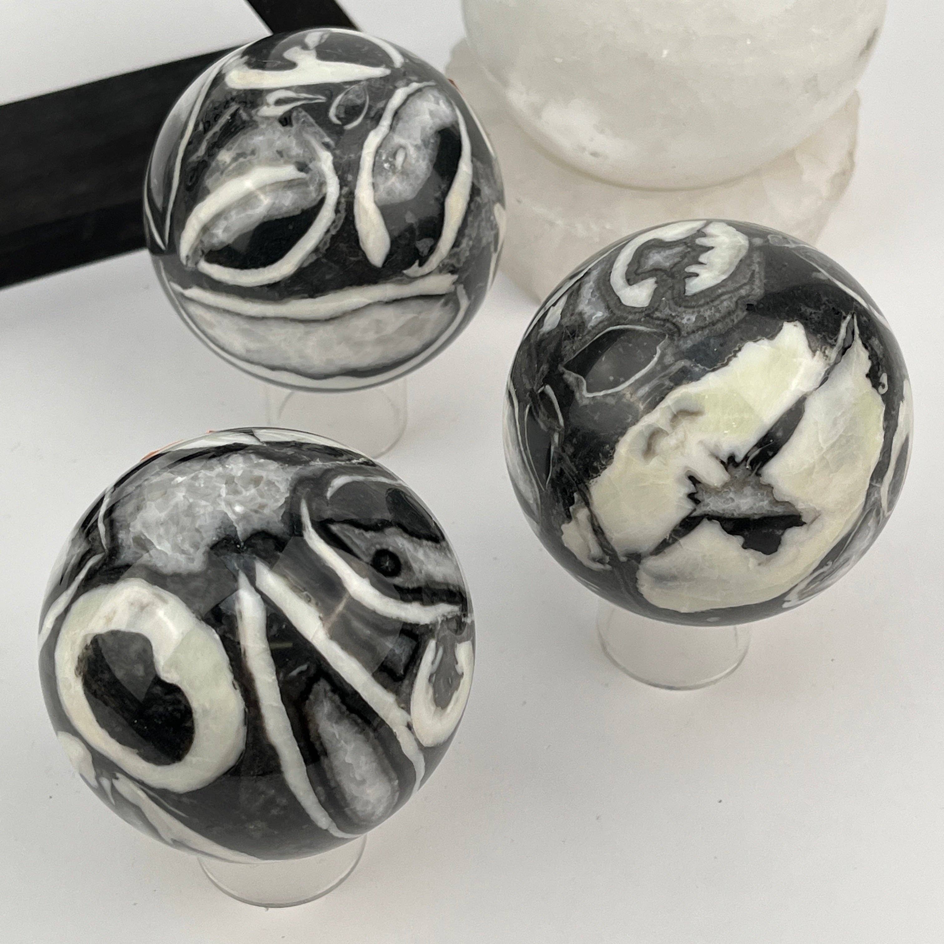Shell Fossil Sphere - Thousand Eye Jasper