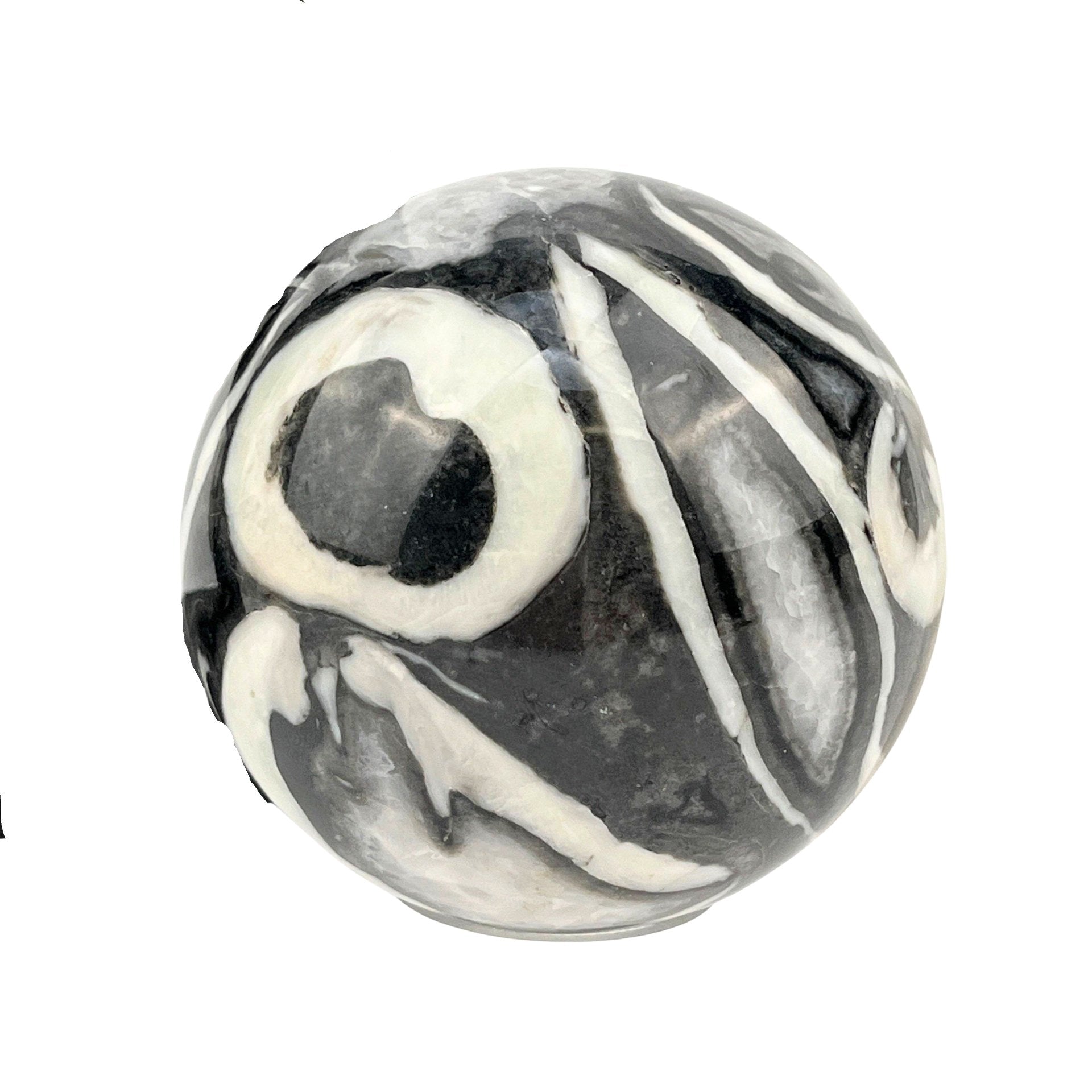 Shell Fossil Sphere - Thousand Eye Jasper