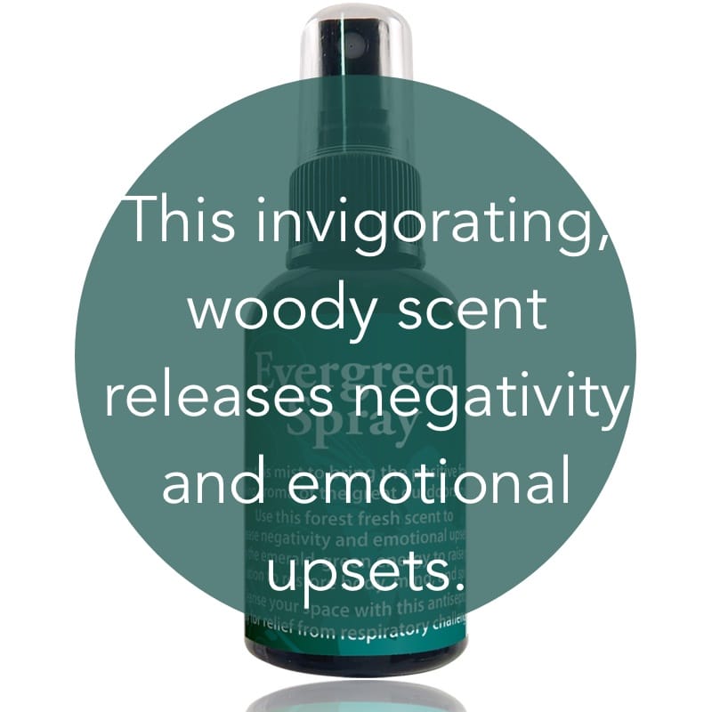 Evergreen Spray image 1