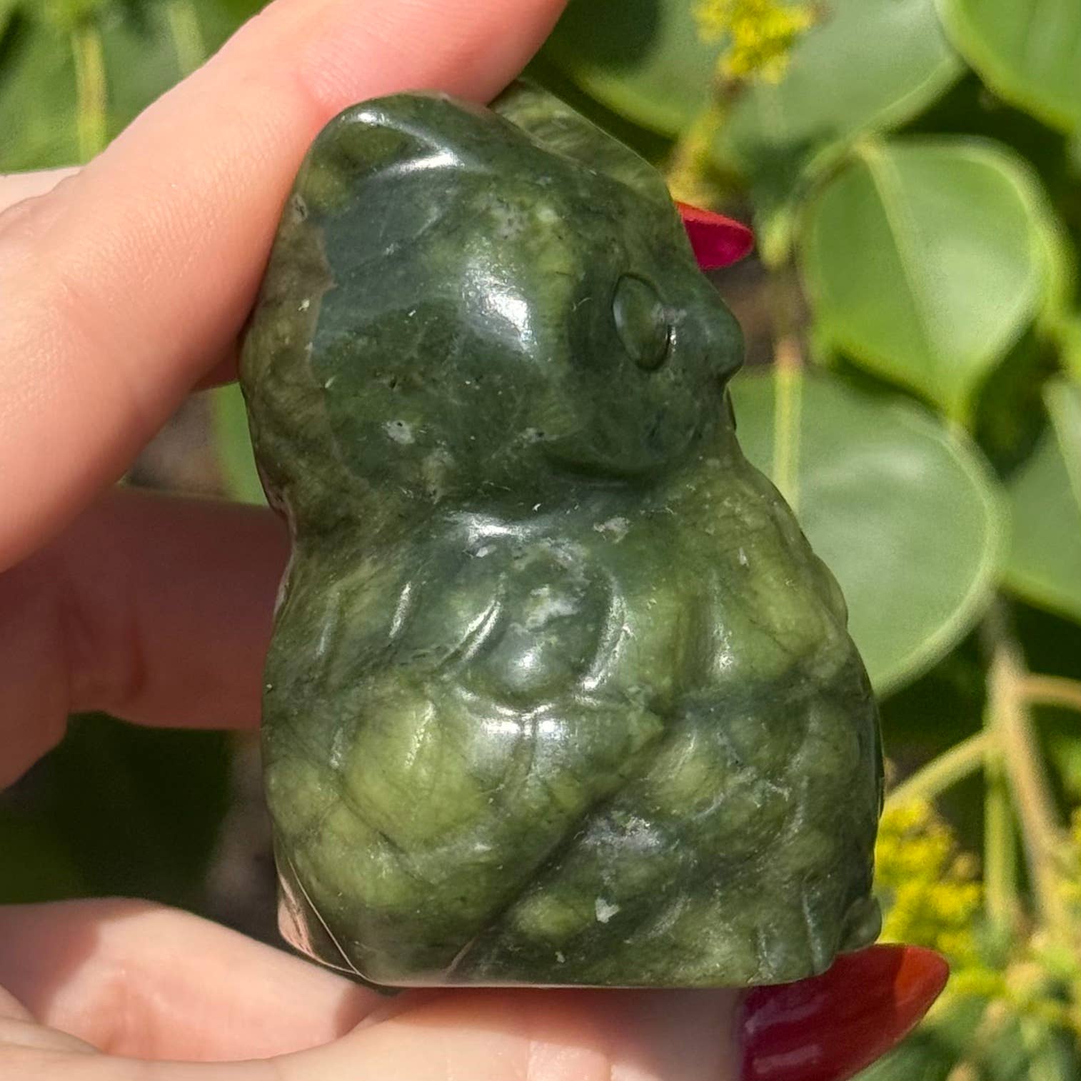 Serpentine Owl 