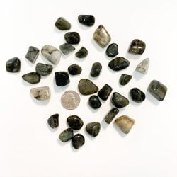 Labradorite Tumbled Pieces with Quarter for Scale