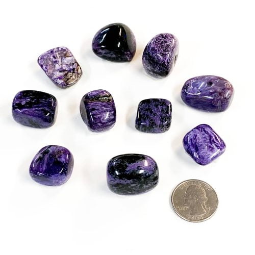 Charoite Tumbled Pieces with Quarter for Scale