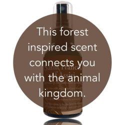 This forest inspired scent connects you with the animal kingdom.