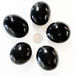 Black Tourmaline Palm Stones with Quarter for scale