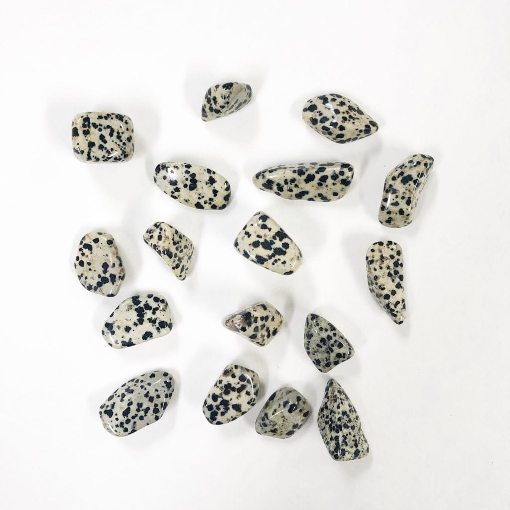 Dalmatian Jasper Tumbled Stone