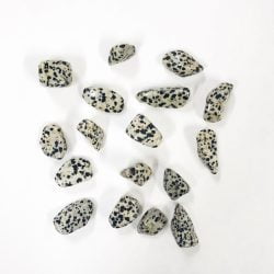 Dalmatian Jasper Tumbled Stone