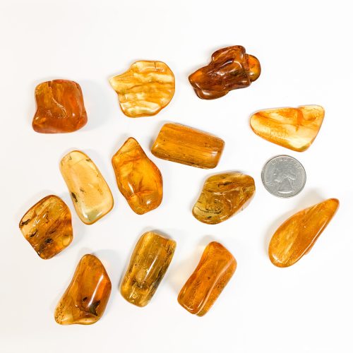 Amber Pieces with Quarter for Scale