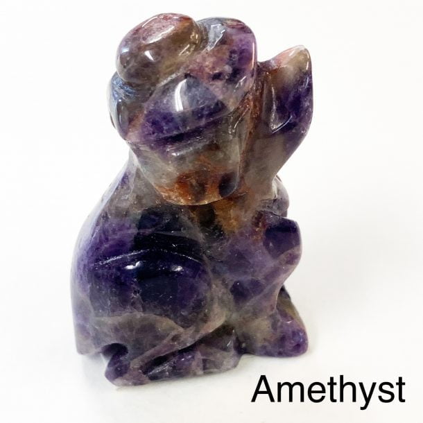 Amethyst Dog