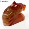 Gemstone Horse Head - Carnelian