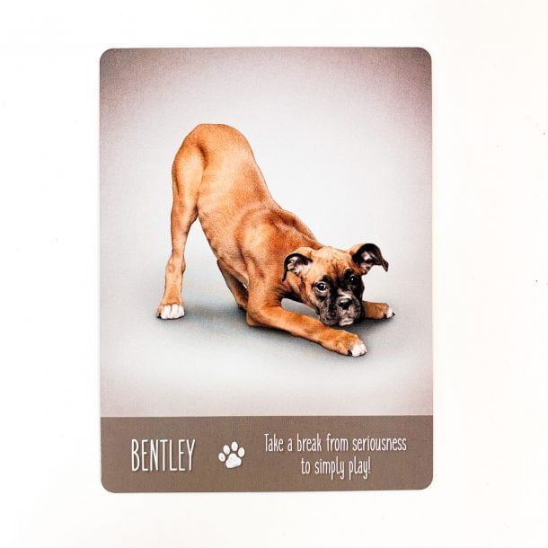 Yoga Dogs Card 1