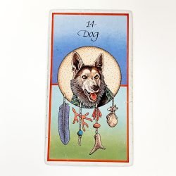 Medicine Cards Card 2
