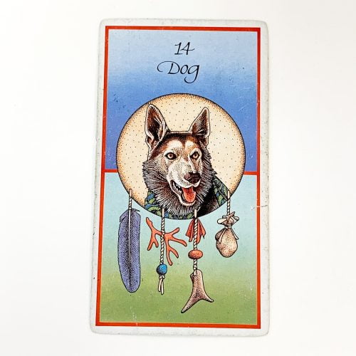 Medicine Cards Card 2