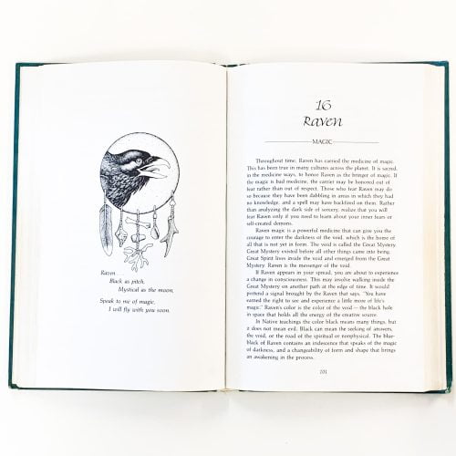 Medicine Cards Guidebook