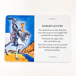 Practical Wisdom Tarot Card 2