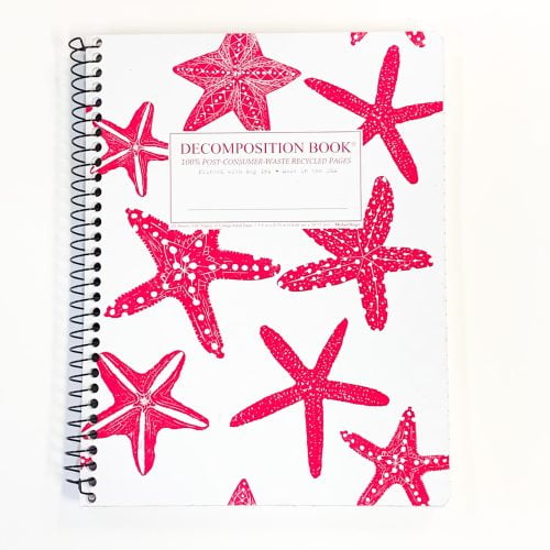 Decomposition Notebook - Star Fish