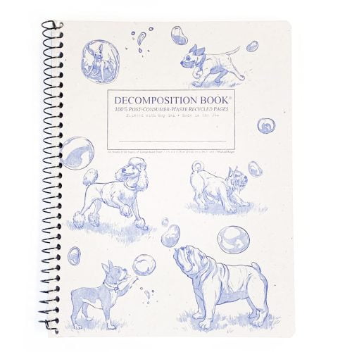Decomposition Notebook - Dogs