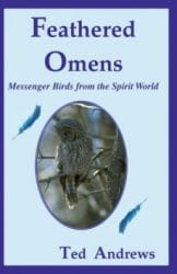 Feathered Omens messenger birds from the spirit world