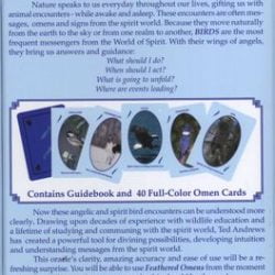 Feathered Omens Back of Box