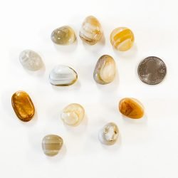 Yellow-Banded-Agate-with-Quarter