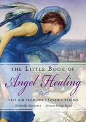Little Book of Angel Healing