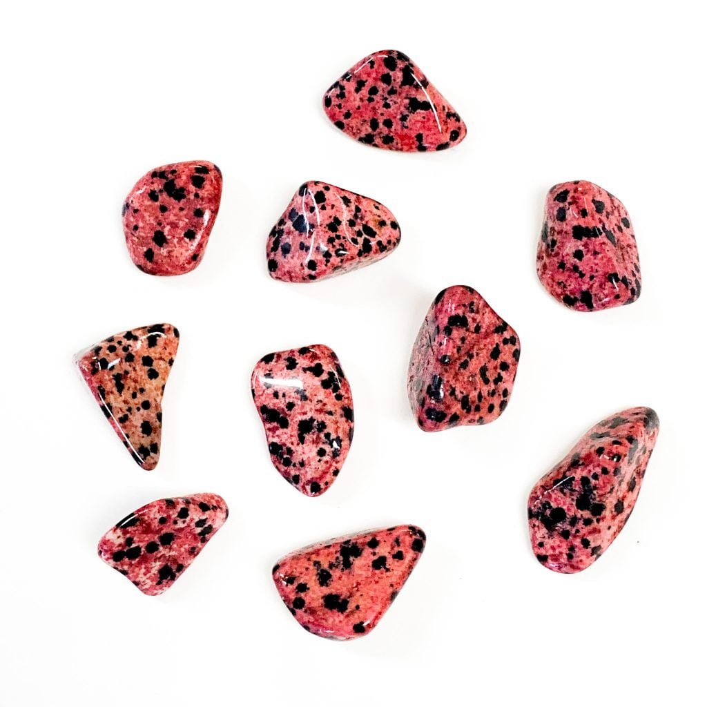 Red-dyed Dalmatian Jasper