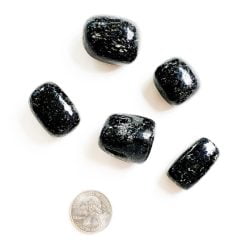 Coprolite