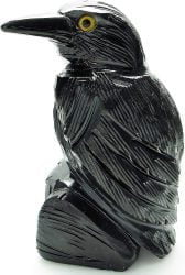 Black Onyx Raven