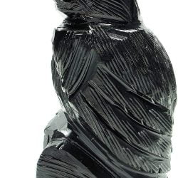 Black Onyx Raven
