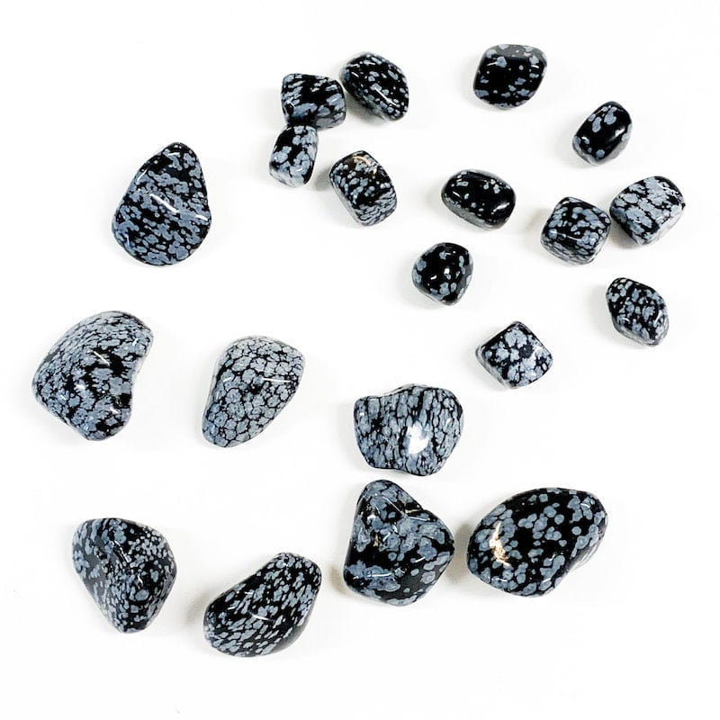 12 Snowflake Obsidian Tumble Polished Stones 