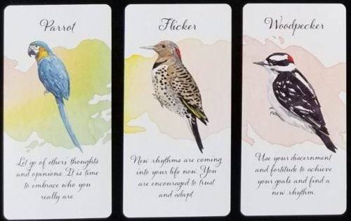 Divine Feather Messenger Cards