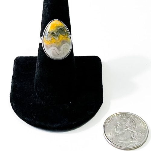 Bumble Bee Jasper Size 7 Ring Side with Quarter