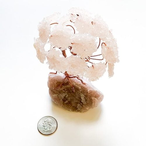 Gemstone Tree - Sodalite with Quarter