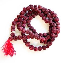 Rudraksha Mala Extra Large Beads