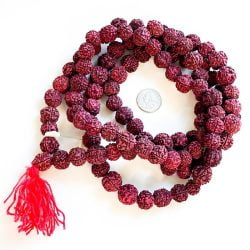 Rudraksha Mala Extra Large Beads