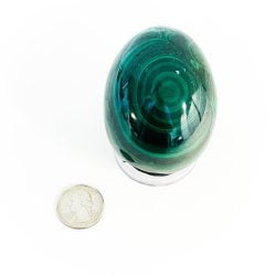 Malachite Egg with Quarter