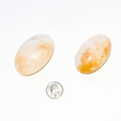 Stilbite Palm Stone with Quarter