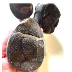 Septarian Druzy with Hand