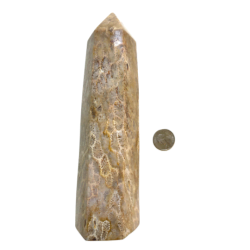 Coral Fossil Obelisk