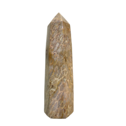 Coral Fossil Obelisk