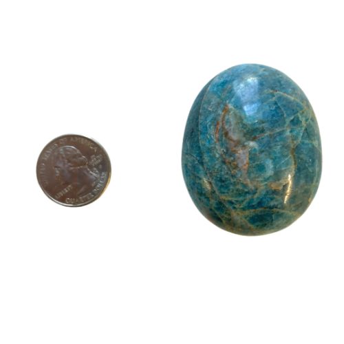 Blue Apatite Palm Stone with quarter