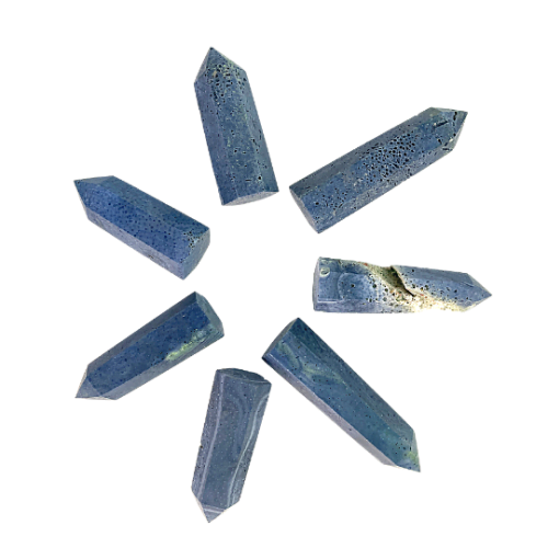 Blue Coral Point